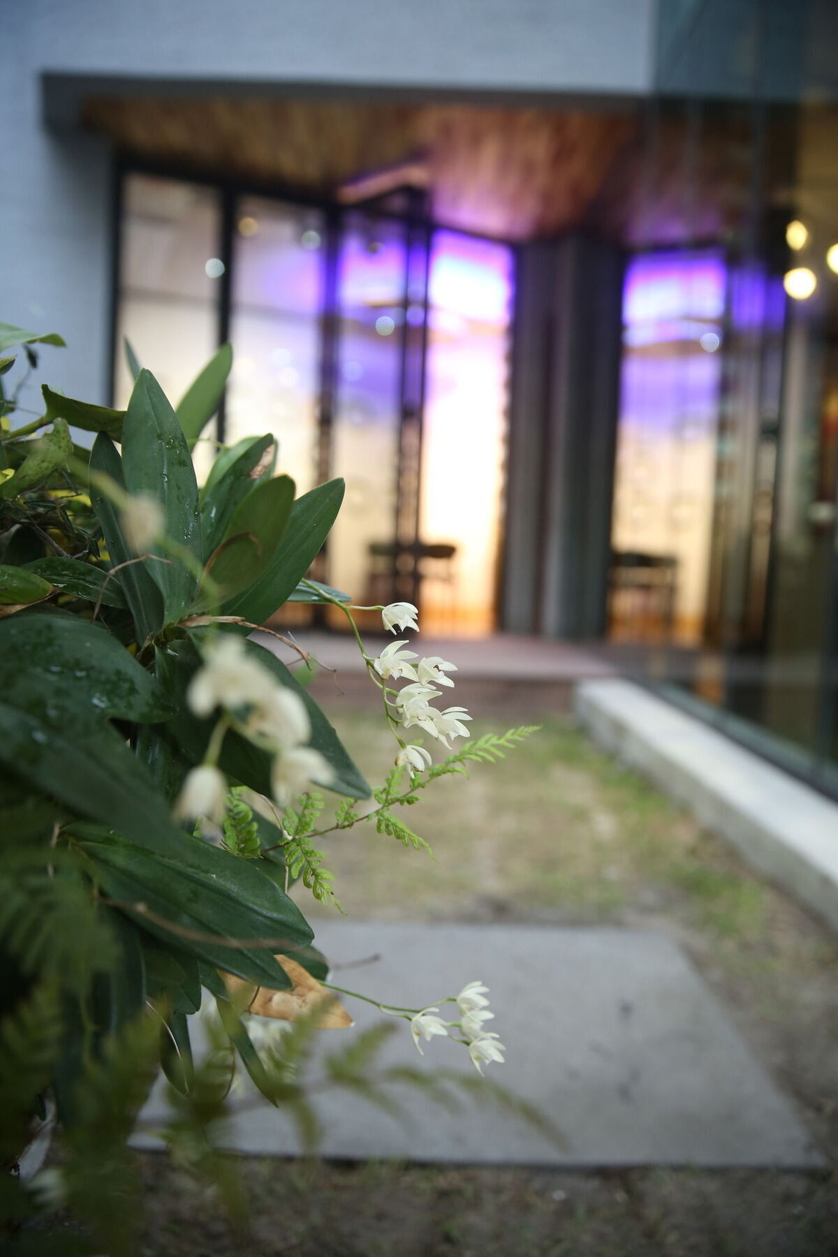 Sogondak House Villa Jeju Exterior photo